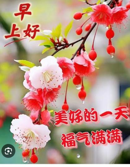 福氣
                滿滿！...
