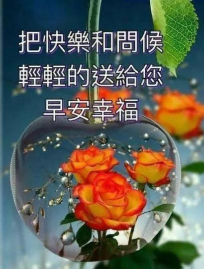 平平安安
      快快樂樂...
