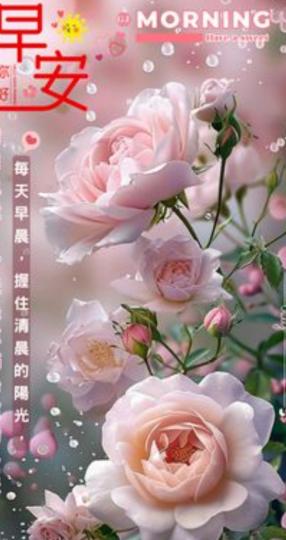輕鬆
                愉快
身體好！...