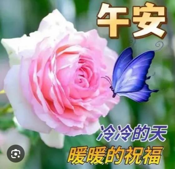 溫暖的
              祝福！...