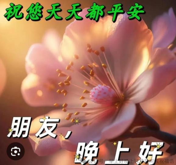 幸福
                     安康！...