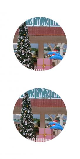 聖誕
               裝置！...