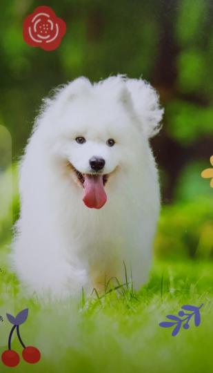 輕輕鬆鬆
                  一點鐘！...