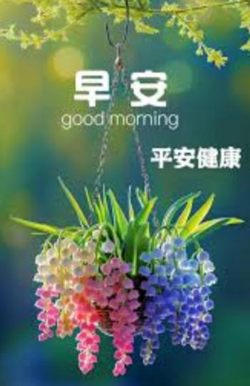 平平安安
             健健康康！...