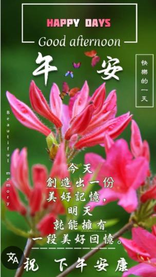快樂整天,
              朋友午安！...