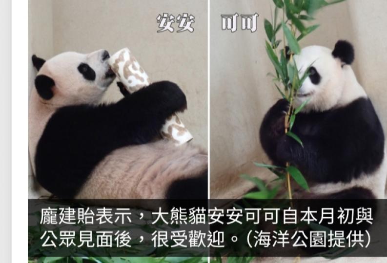 海洋公園去年整體收入及人流增加　龐建貽：正朝著賺錢方向進發...