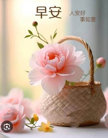人安好,
          事如意,
朋友早！...