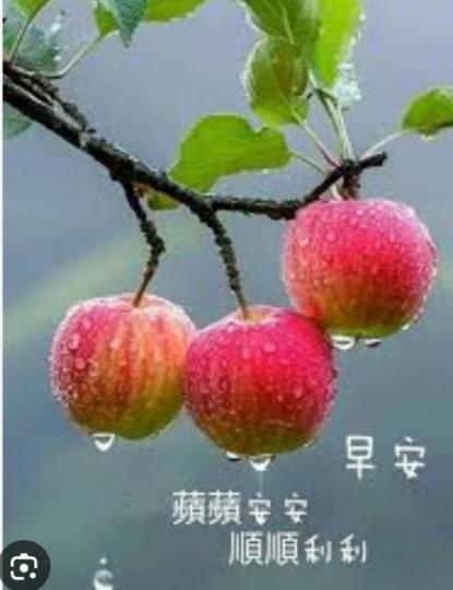健康
                 快樂！...