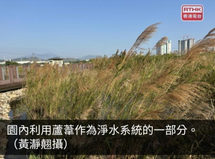 塱原自然生態公園截至上月底已有約5千人次到訪...