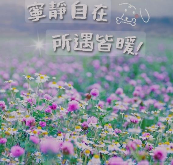 簡約
            自在！...