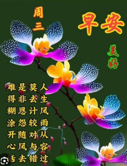 人生，
        難得糊塗開心過！...