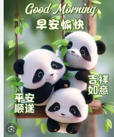 平安
                  吉祥！...