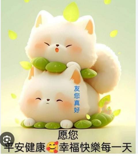 美好
                       相伴！...