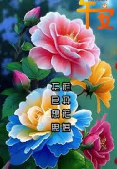 午安，
                    朋友們！...