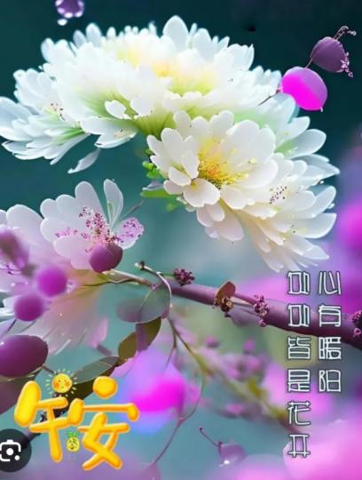 心有陽光，
       處處花香！...
