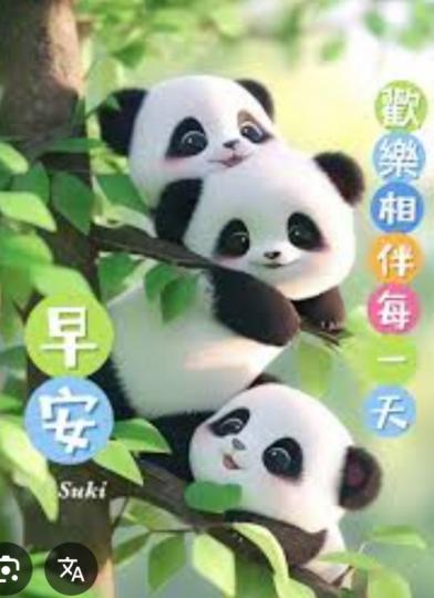 歡樂
                       相伴！...