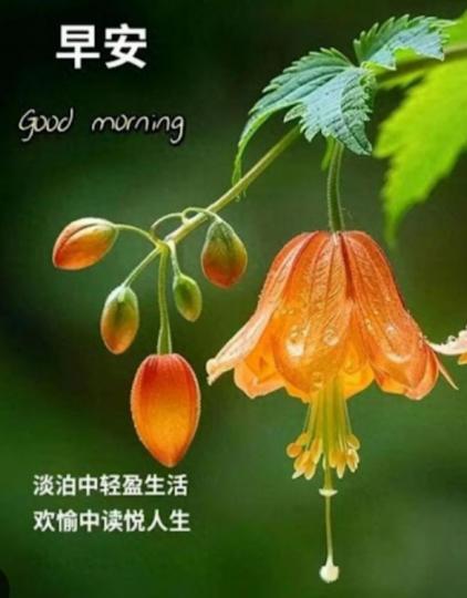淡泊中
              輕盈生活！...