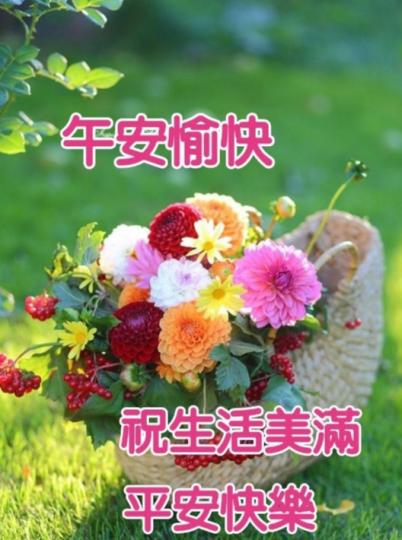 午安
                       愉快！...