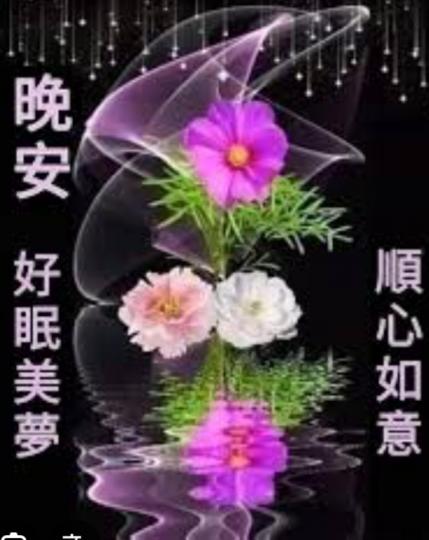 晚安
                   美夢！...