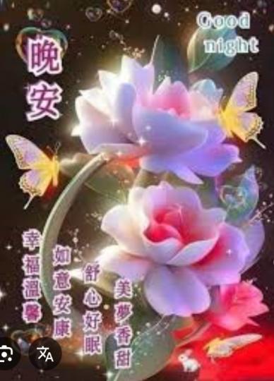 朋友
                 晚安！...