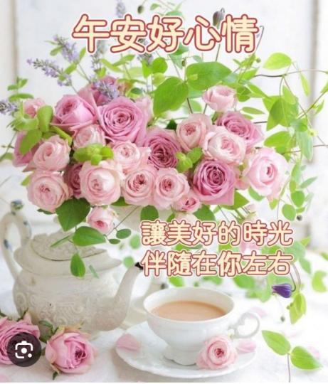 午安
                    美好！...