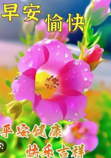 平安
                  愉快！...