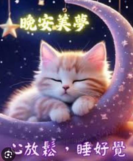 朋友
                    晚安！...