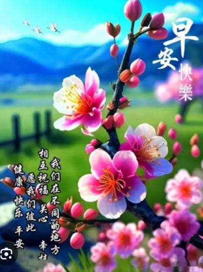快樂
                        平安！...