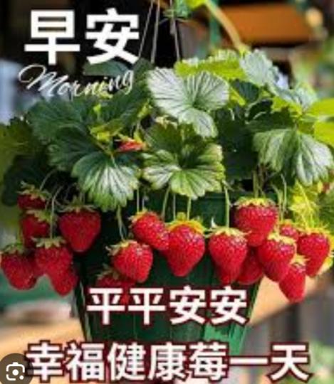 平平安安
              快快樂樂！...
