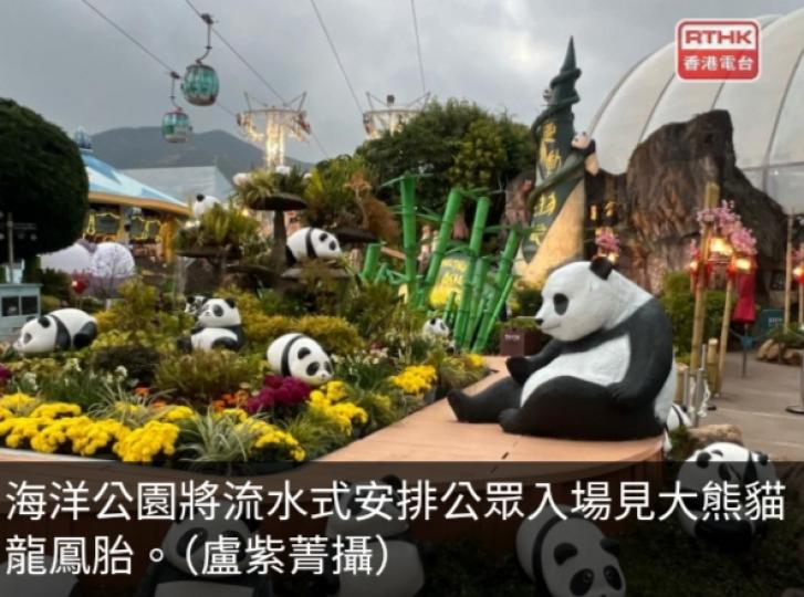海洋公園將流水式安排入場見大熊貓龍鳳胎　料每日最多招待5千人...