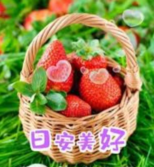 美好
                時光！...