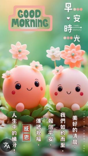 清晨
                   美好！...