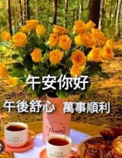 午安
            朋友們！...