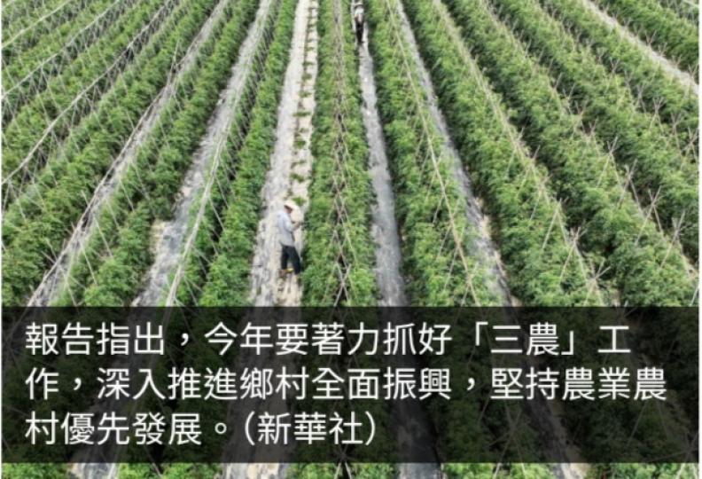 全國兩會｜著力抓好「三農」工作　千方百計推動農業增效益...