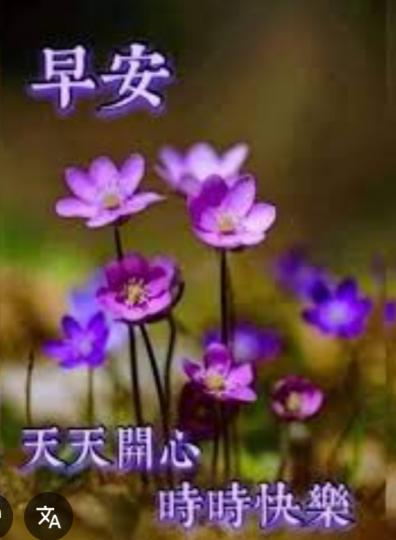開心
                快樂！...