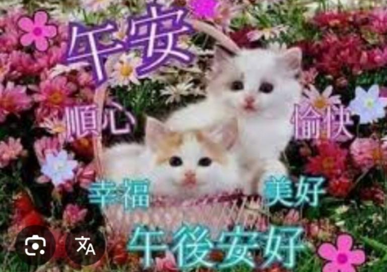 幸福
                    美好！...
