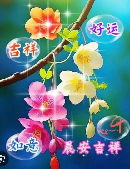 如意
                    吉祥！...