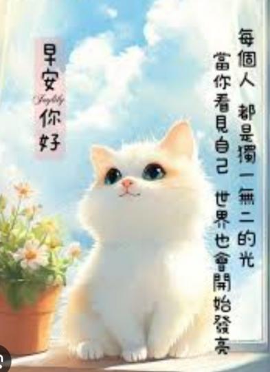 發放
                        光芒！...