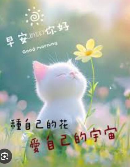 種植
                    美好！...