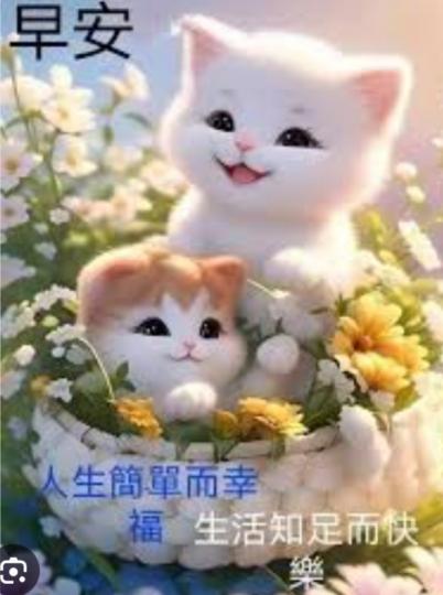 簡單
                   愉快...