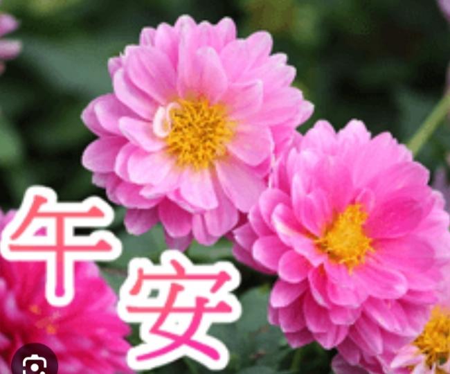 如意
                      吉祥！...