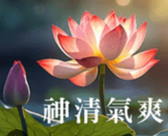 神清
                             氣爽！...