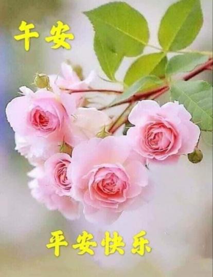 各位老友記午安身心愉悦...