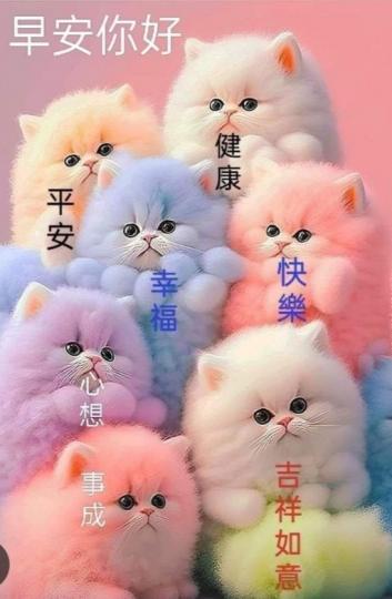 開心
                  愉快！...