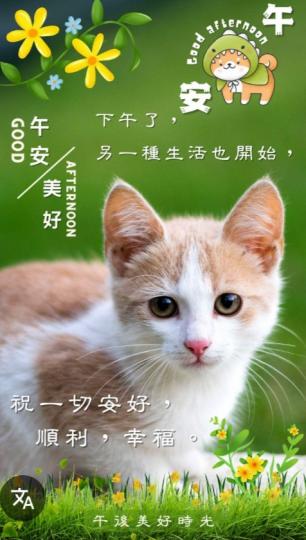 顺利
                     幸福！...