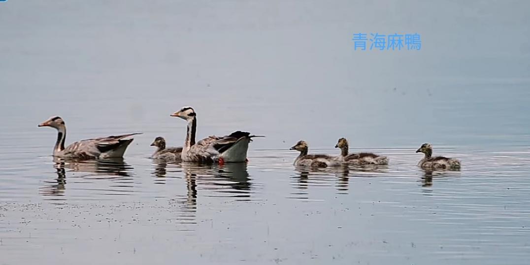 全家
                   樂遊游！...