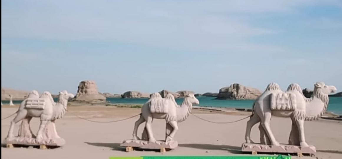 沙上
                   駱駝！...