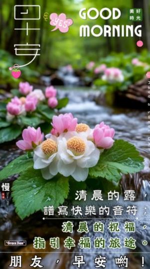 清晨
                    祝福！...
