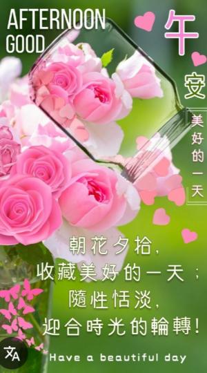 隨性
                       恬淡！...