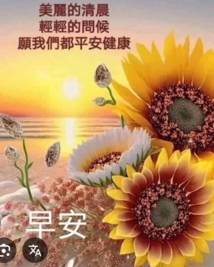 平安
                        健康！...